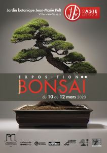 Exposition Bonsaï